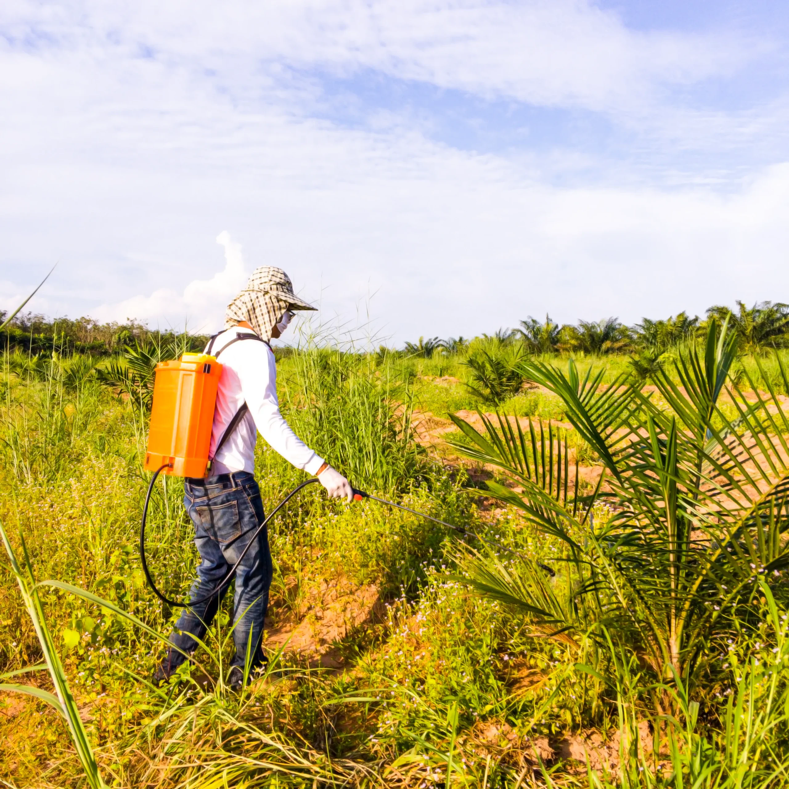 Foreign worker in protective gear operating herbicide sprayer in a plantation, compliant with safety and international labor standards.